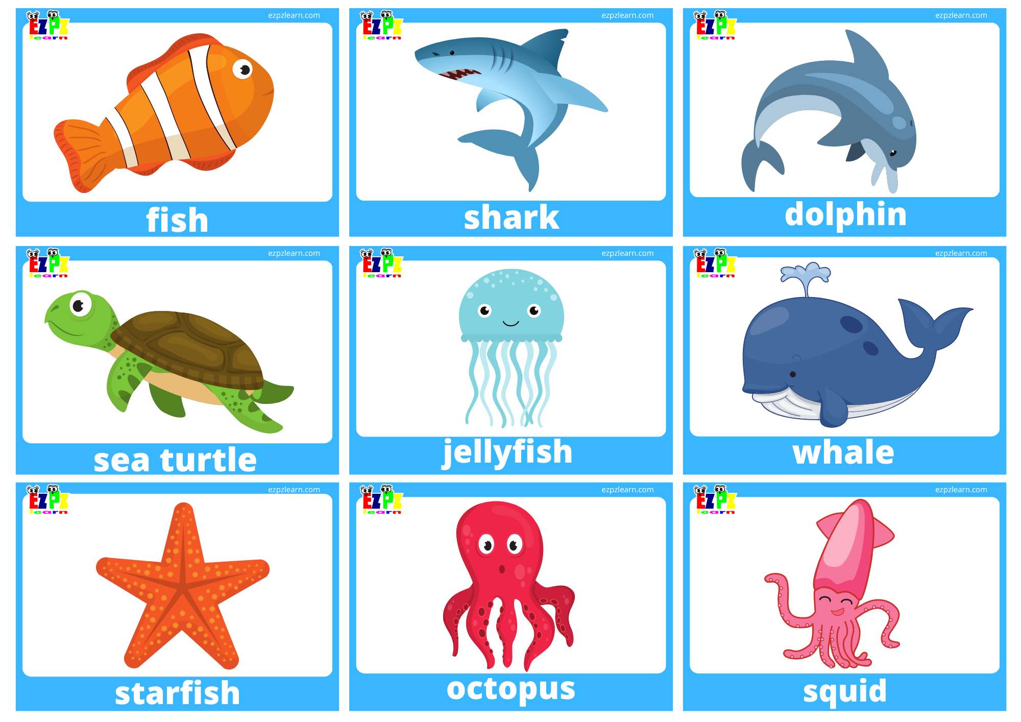 Sea Animal Flashcards With Words use online or PDF download 15 pages